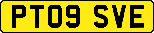PT09SVE