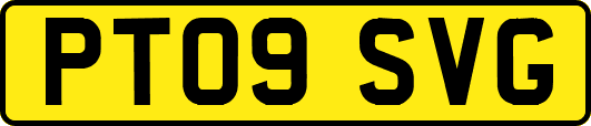 PT09SVG