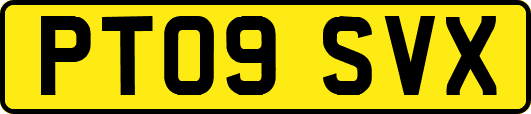 PT09SVX