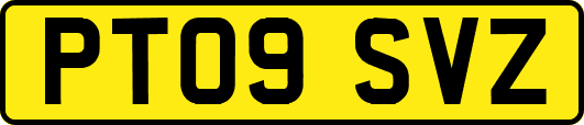 PT09SVZ