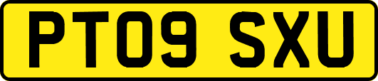 PT09SXU