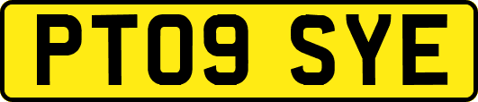 PT09SYE