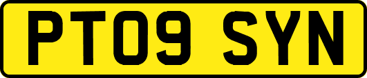 PT09SYN