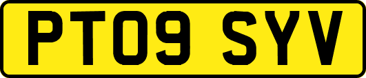 PT09SYV