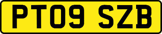 PT09SZB