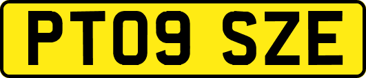 PT09SZE
