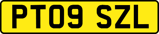 PT09SZL