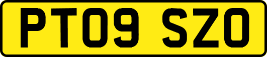 PT09SZO