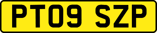 PT09SZP