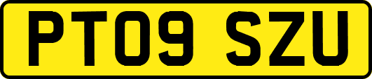 PT09SZU