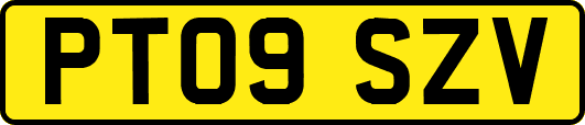 PT09SZV