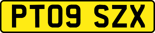 PT09SZX