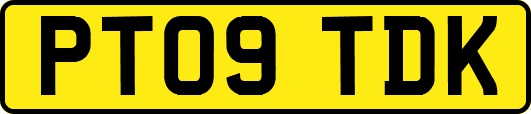 PT09TDK