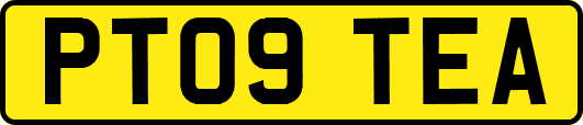 PT09TEA