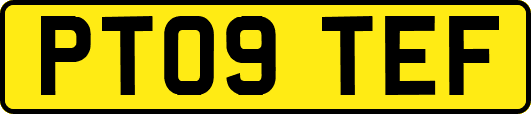 PT09TEF