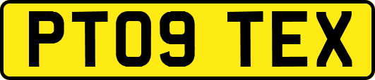 PT09TEX