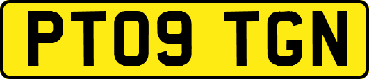 PT09TGN