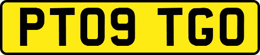 PT09TGO