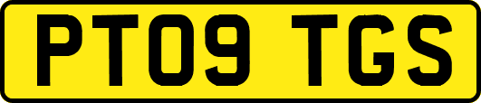 PT09TGS