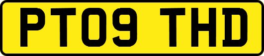 PT09THD