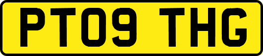 PT09THG