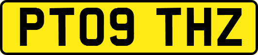 PT09THZ