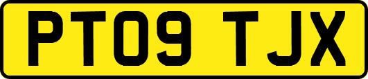 PT09TJX
