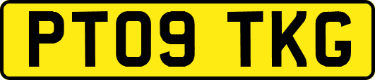 PT09TKG