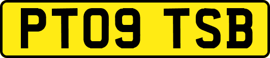 PT09TSB