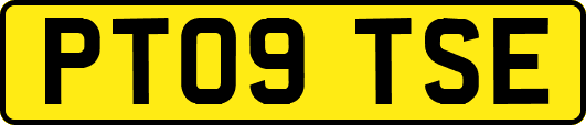 PT09TSE