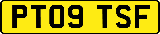 PT09TSF