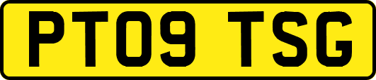PT09TSG
