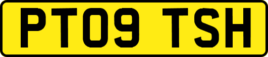 PT09TSH