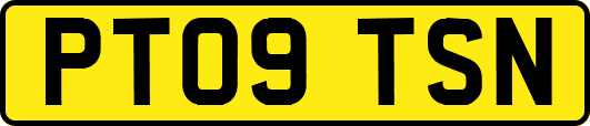 PT09TSN