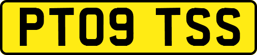 PT09TSS