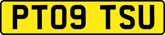 PT09TSU