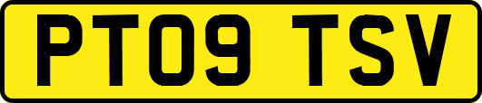 PT09TSV