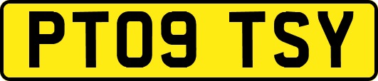 PT09TSY