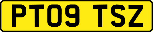 PT09TSZ
