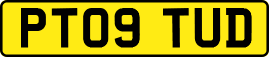 PT09TUD