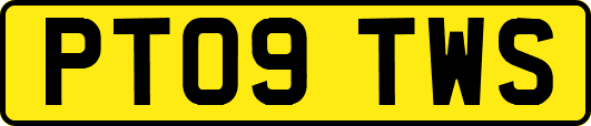 PT09TWS