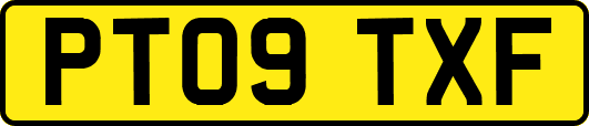 PT09TXF
