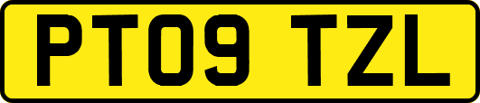 PT09TZL