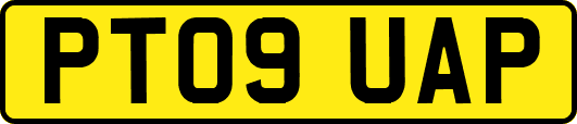 PT09UAP