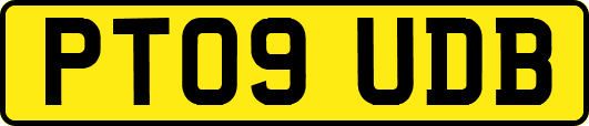 PT09UDB
