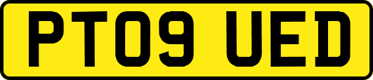 PT09UED