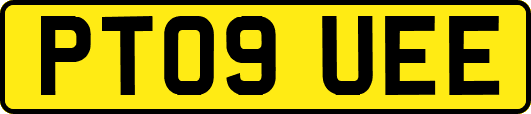 PT09UEE
