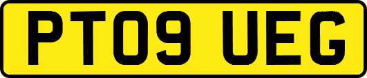 PT09UEG