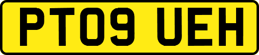 PT09UEH