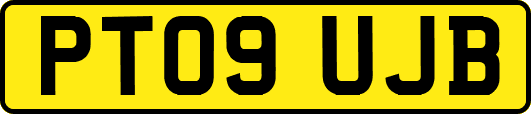 PT09UJB